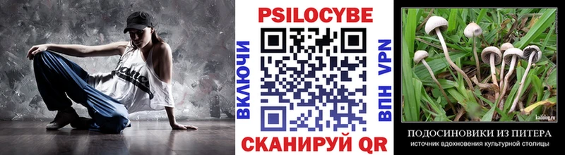 Галлюциногенные грибы ЛСД  что такое   Болхов 